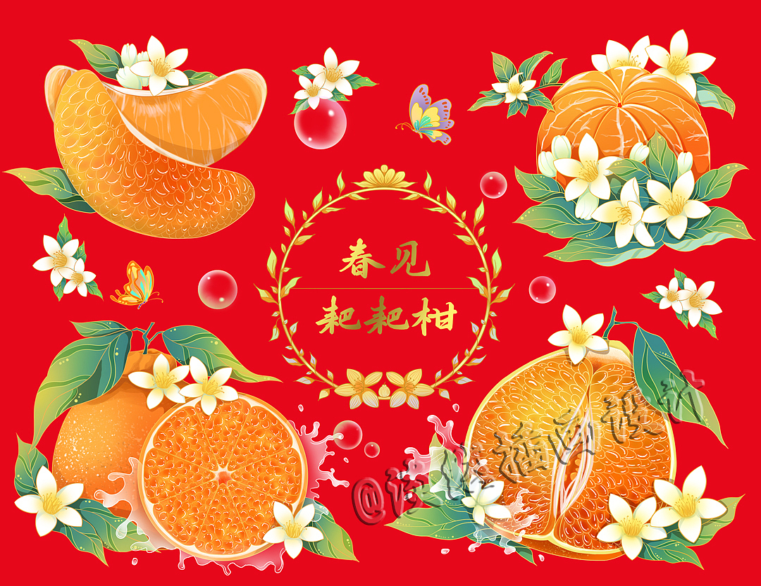 水果系列包装插画 合集