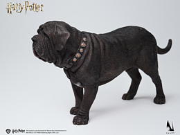 在inart期间做的哈利波特地狱犬牙牙