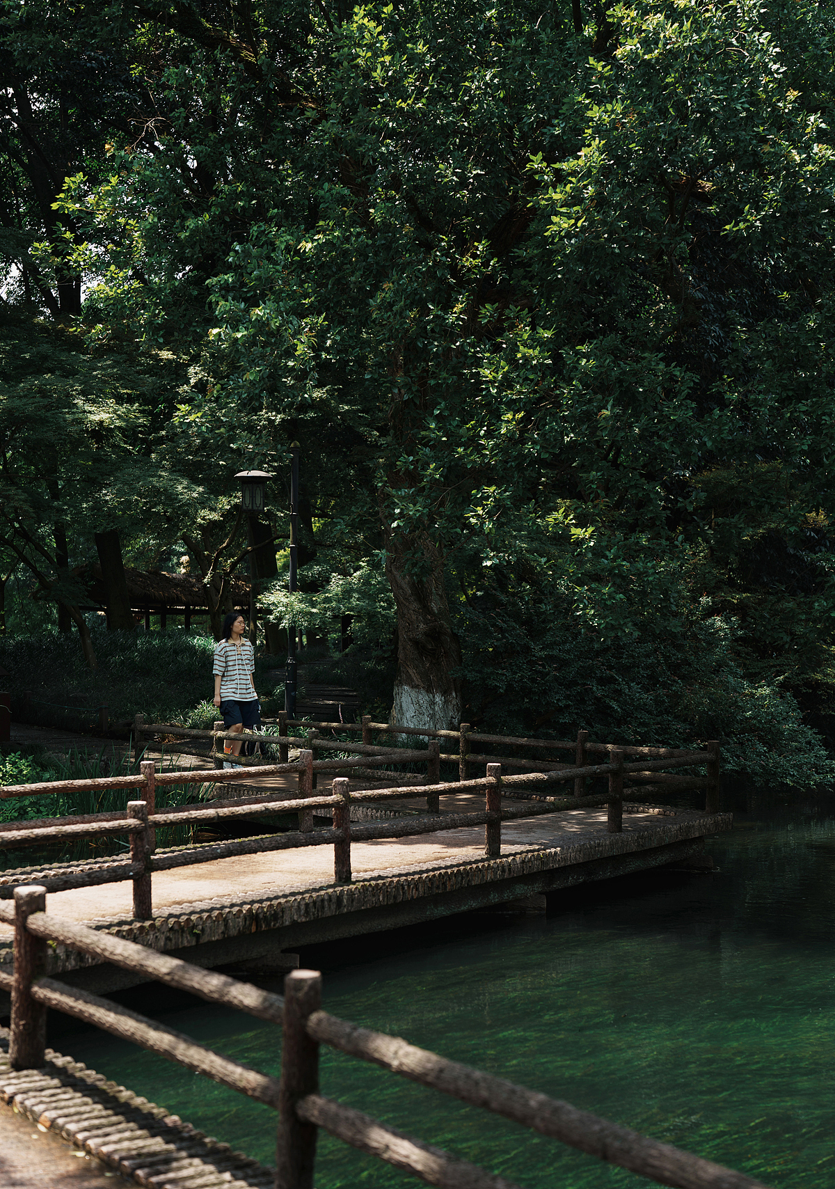 林中妙语（图ZMzkzNTQwNzg0） - 人文/纪实摄影 - 站酷设计师摄影师古舟原创素材 - 站酷ZCOOL