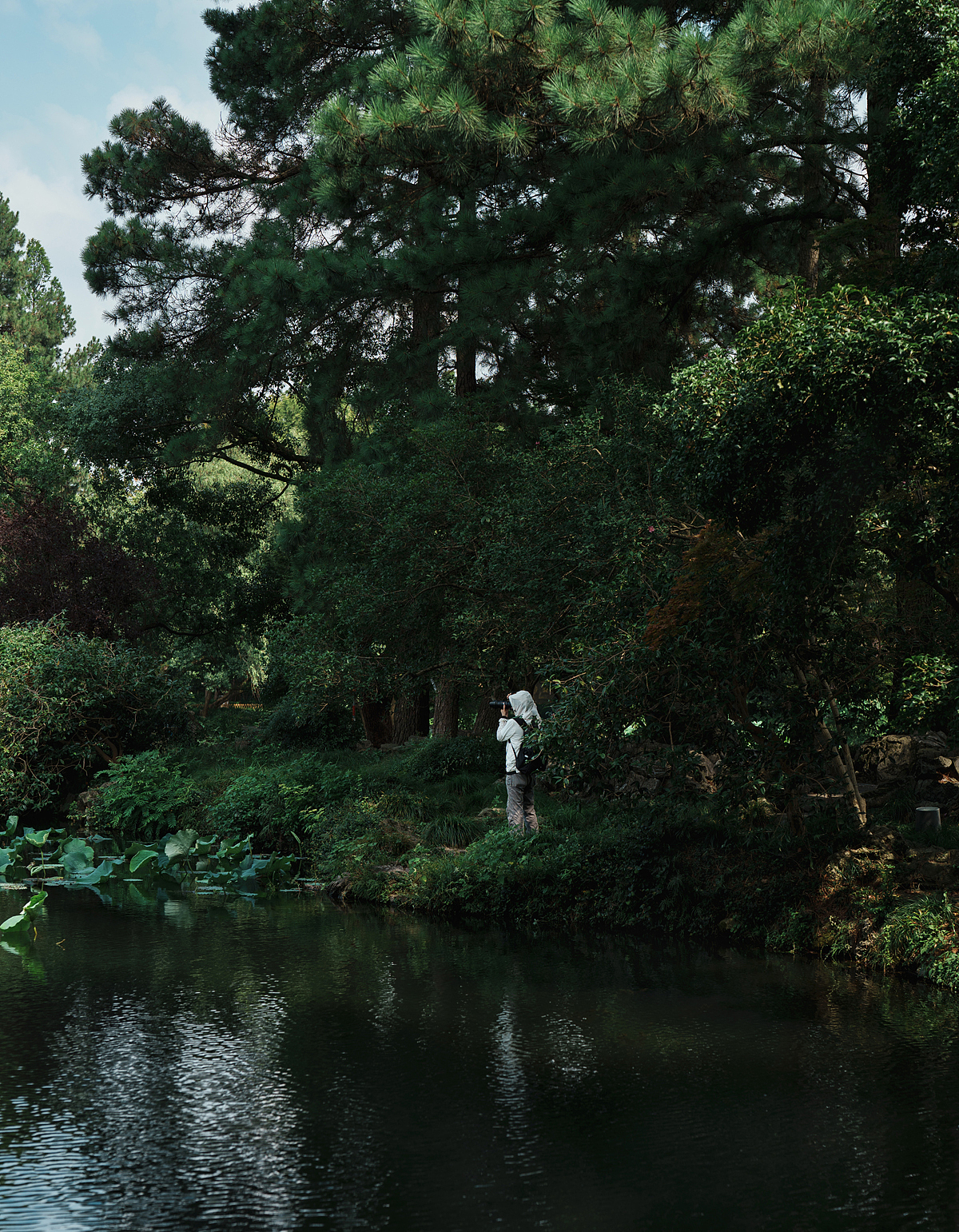 林中妙语（图ZMzkzNTQwODA0） - 人文/纪实摄影 - 站酷设计师摄影师古舟原创素材 - 站酷ZCOOL