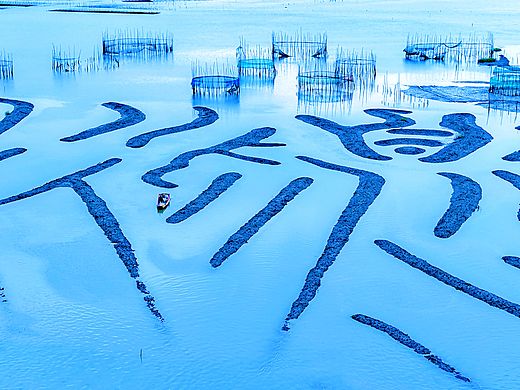 海滩甲骨文
