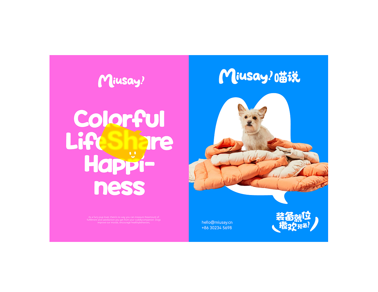 Miusay 喵说 | ABD案例