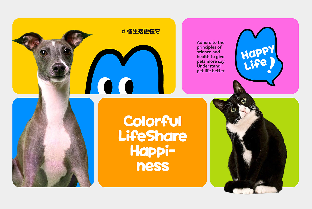 Miusay 喵说 | ABD案例