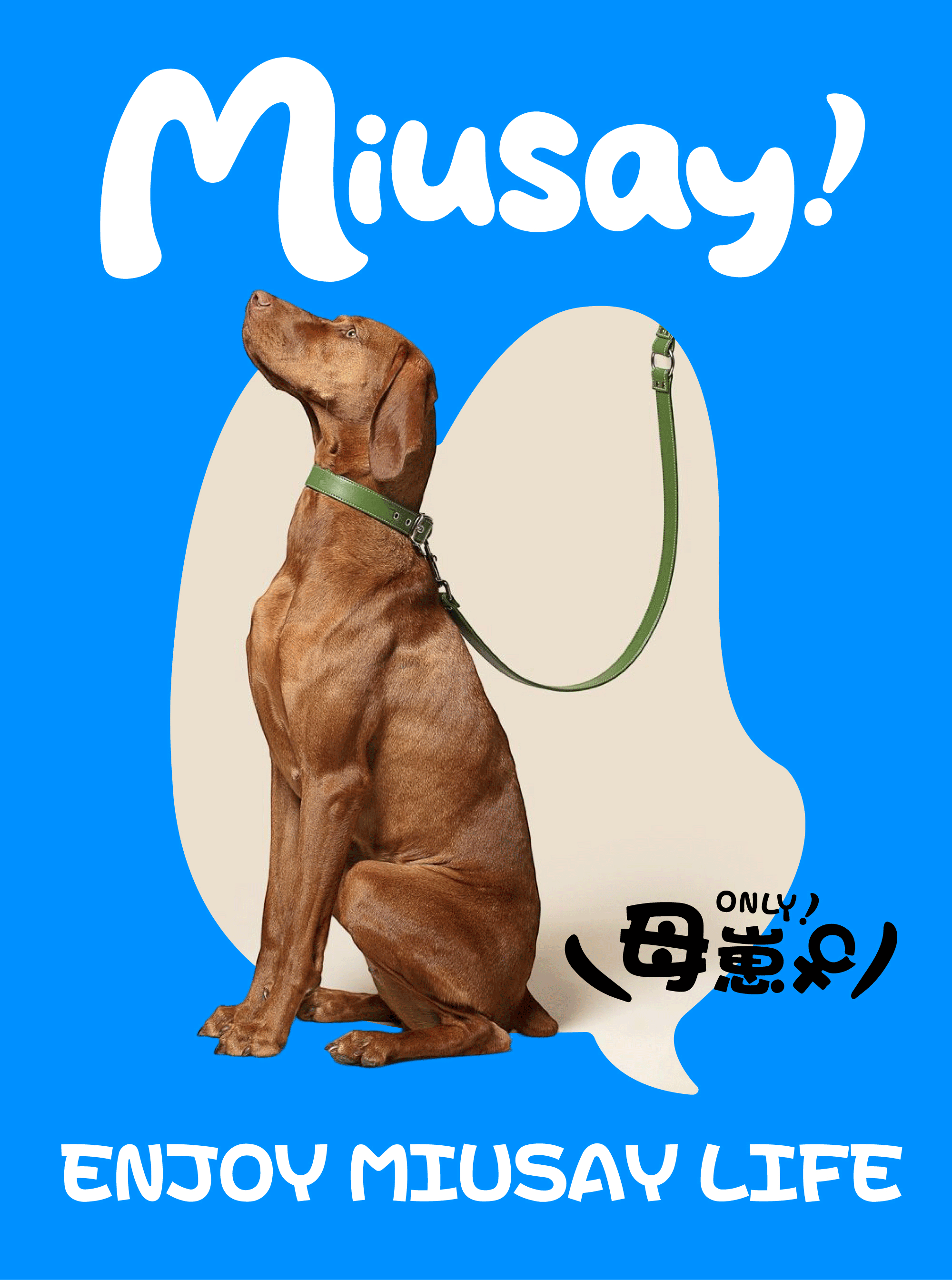 Miusay 喵说 | ABD案例