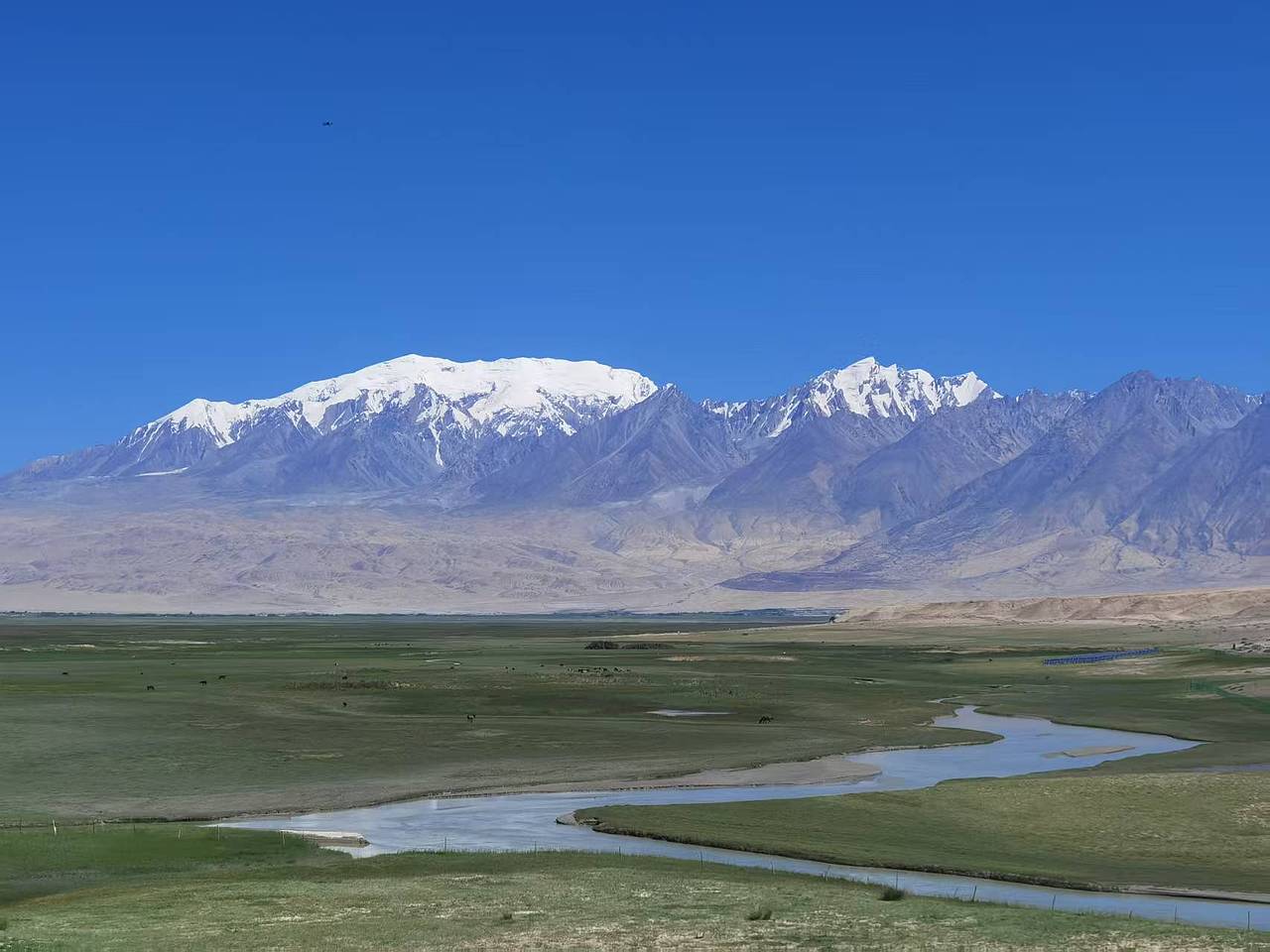 夏賞雪草原（圖ZMzkzNTYwMDM2） - 風(fēng)光攝影 - 站酷設(shè)計(jì)師橘貓打盹原創(chuàng)素材 - 站酷ZCOOL