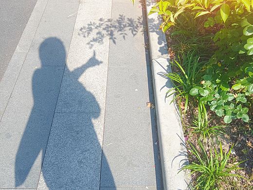 人物剪影