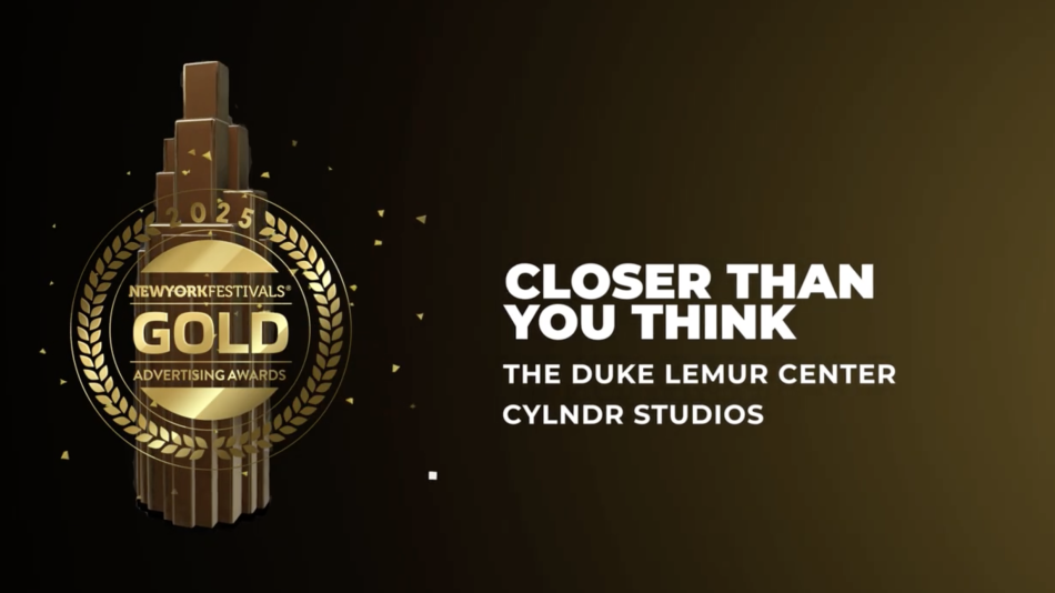 纽约国际广告节与LightricksLTXStudio共同宣布2025纽约国际广告节AI竞赛单元获奖名单（图ZMTUxNTM5MzI=） - 资讯 - 站酷设计师纽约国际广告节原创素材 - 站酷ZCOOL