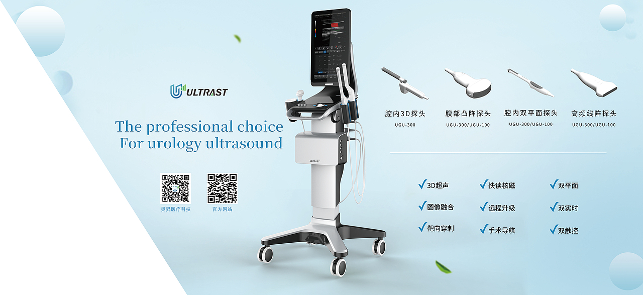 奥昇任职期间的作品