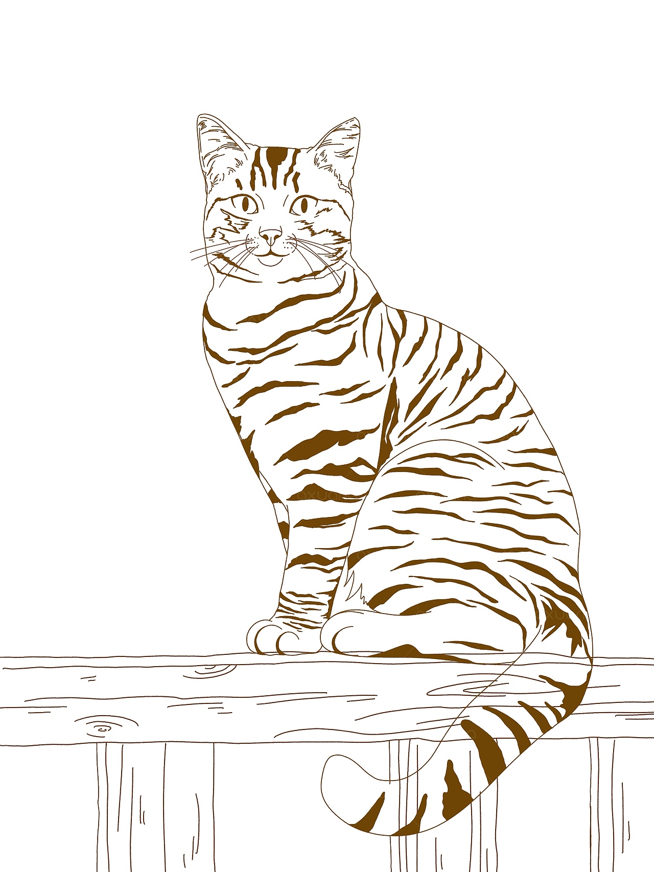 原创插画｜《虎斑喵的悠闲时光》（图ZMzkzNTg5NjA0） - 商业插画 - 站酷设计师是阿萱啊原创素材 - 站酷ZCOOL