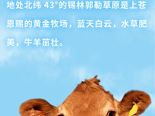 【朵朵草原X灵智品牌设计】吃中草药喝矿泉长大的牛羊