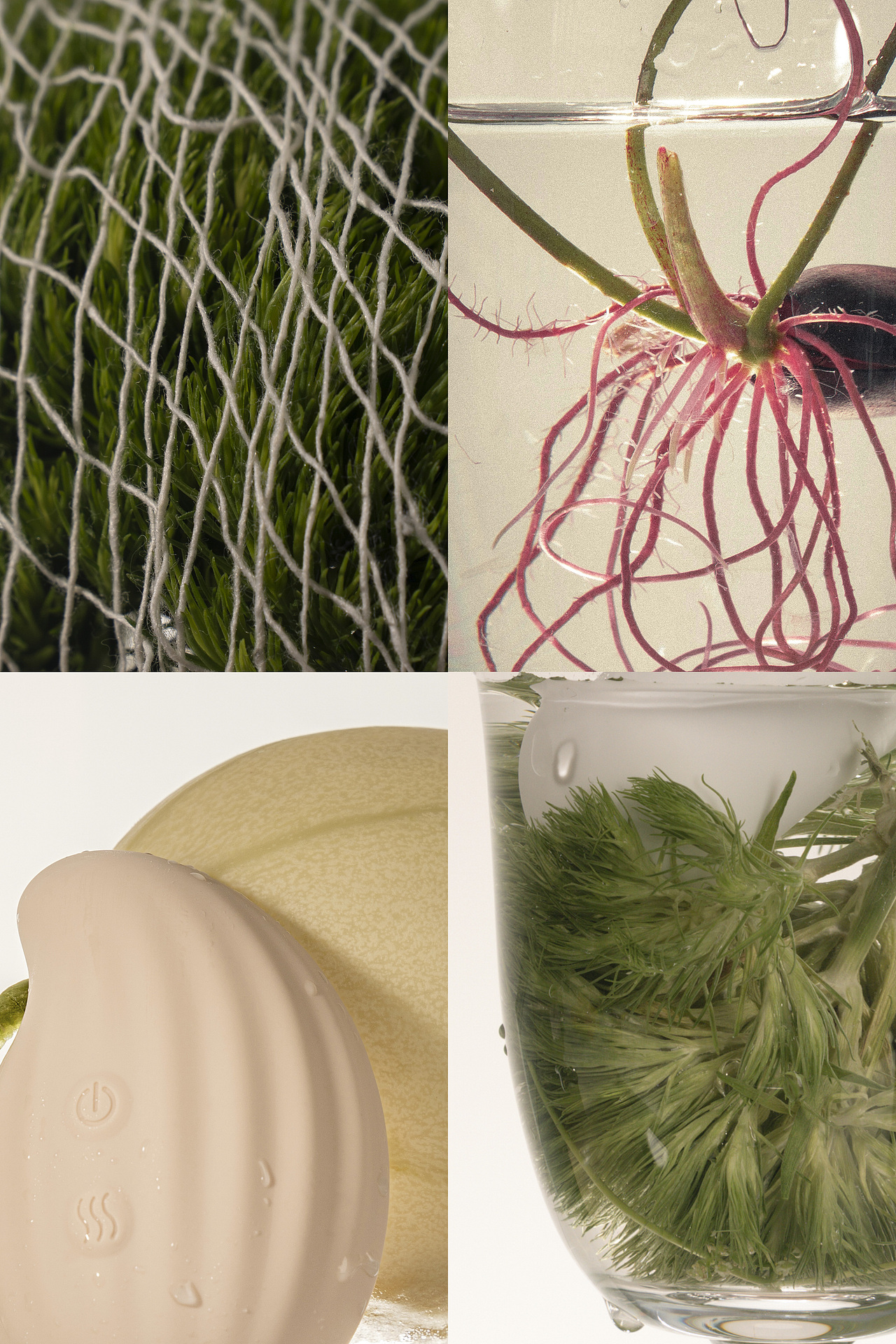 作品集：一个合集·S3（图ZMzkzNjI0NjUy） - 产品摄影 - 站酷设计师子涵Zian原创素材 - 站酷ZCOOL