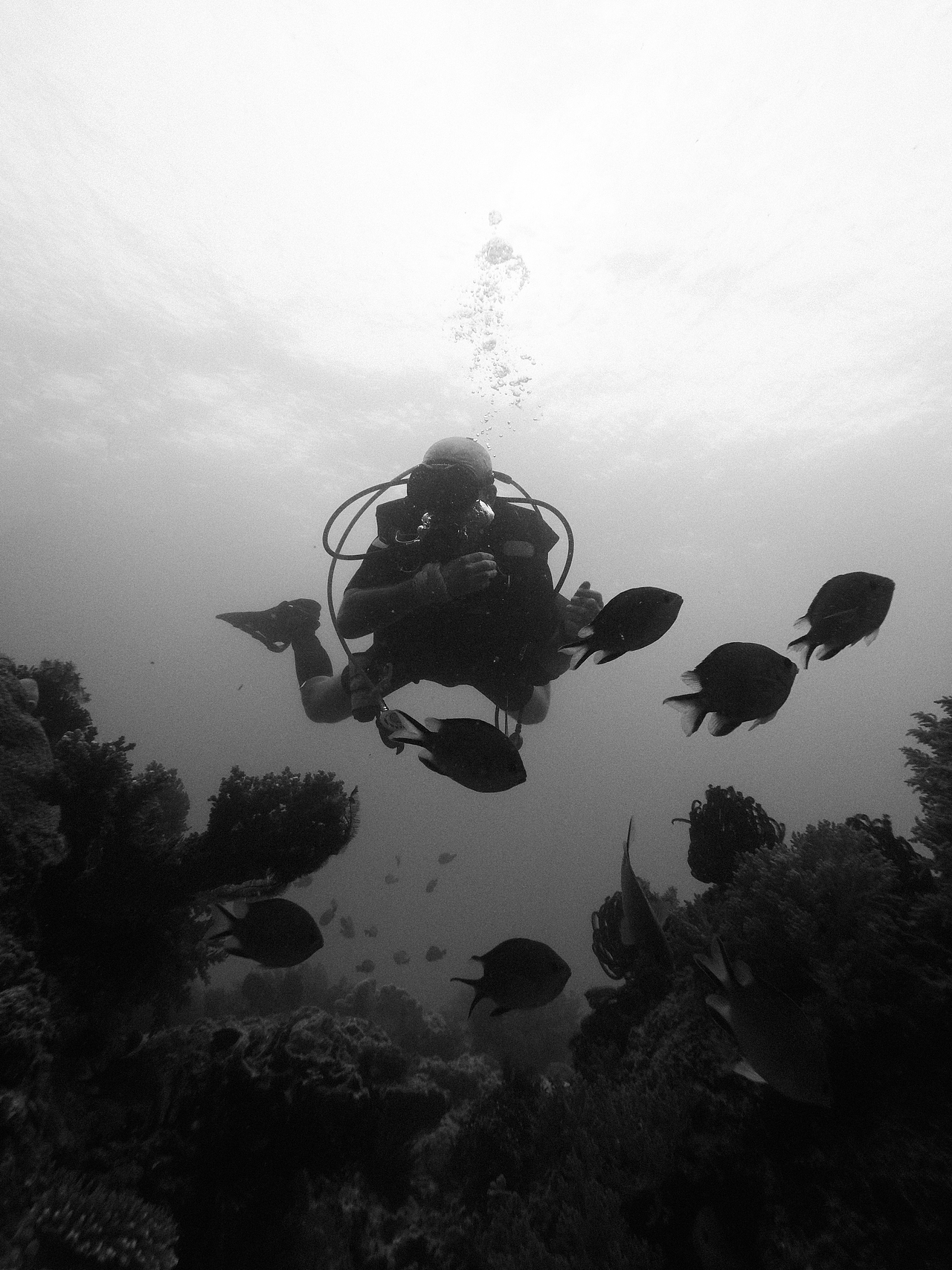 作品集：一个合集·S3（图ZMzkzNjI1MDgw） - 产品摄影 - 站酷设计师子涵Zian原创素材 - 站酷ZCOOL