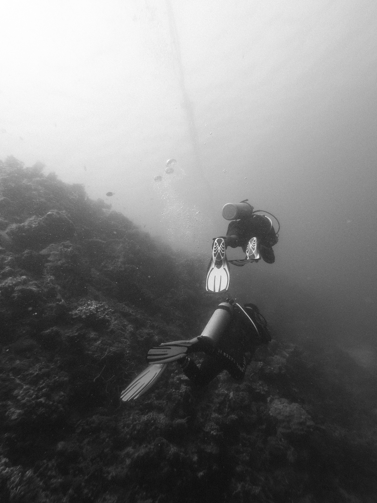 作品集：一个合集·S3（图ZMzkzNjI1MTA4） - 产品摄影 - 站酷设计师子涵Zian原创素材 - 站酷ZCOOL