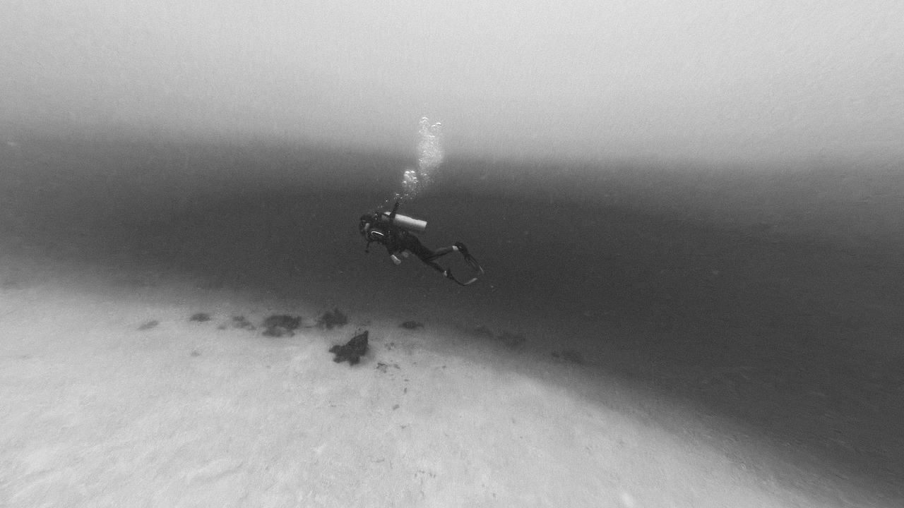 作品集：一个合集·S3（图ZMzkzNjI3MzQ0） - 产品摄影 - 站酷设计师子涵Zian原创素材 - 站酷ZCOOL