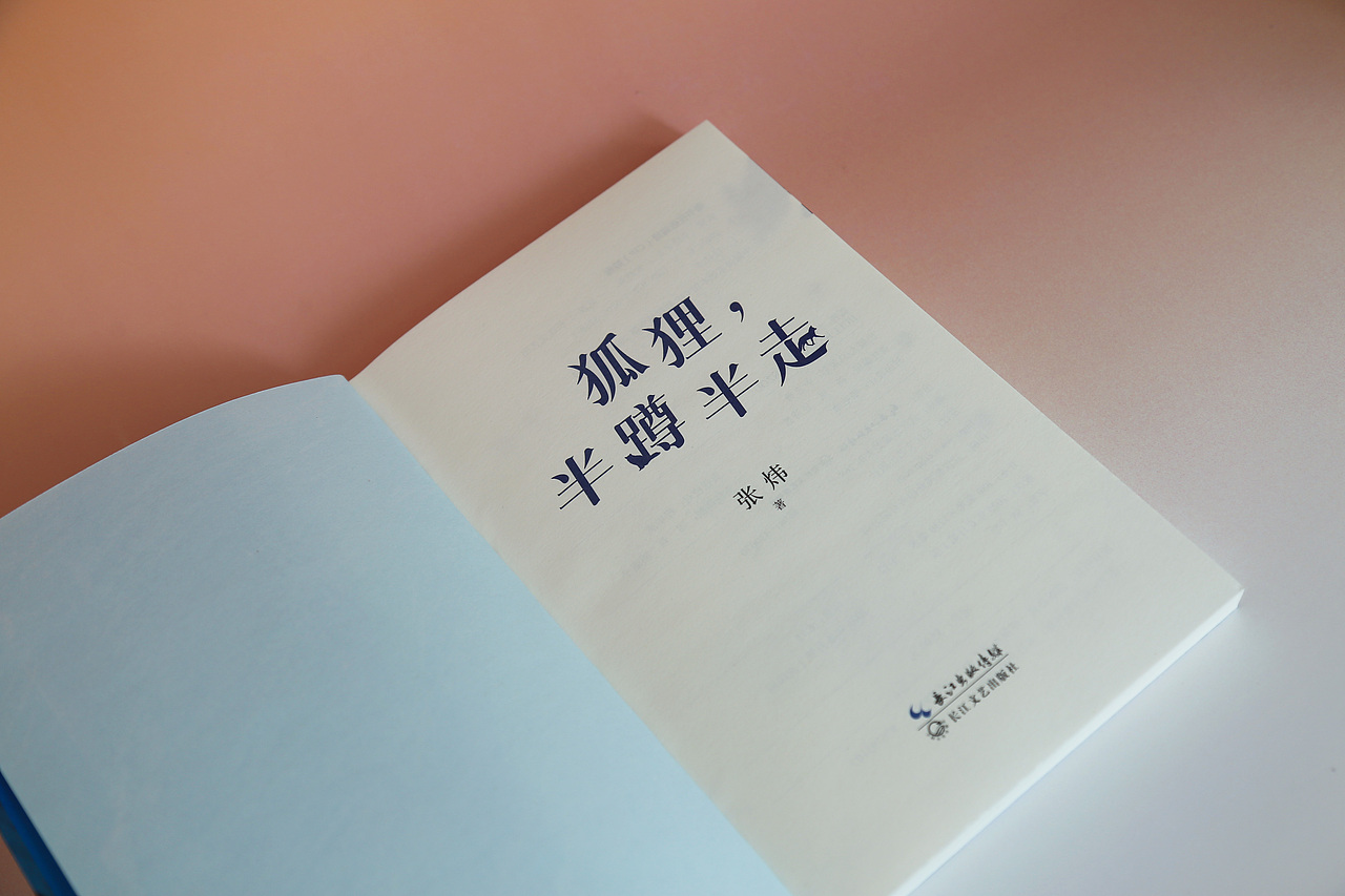 书籍设计|《狐狸,半蹲半走》