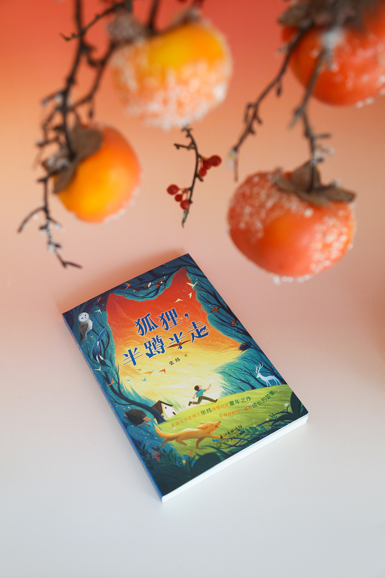 书籍设计|《狐狸,半蹲半走》