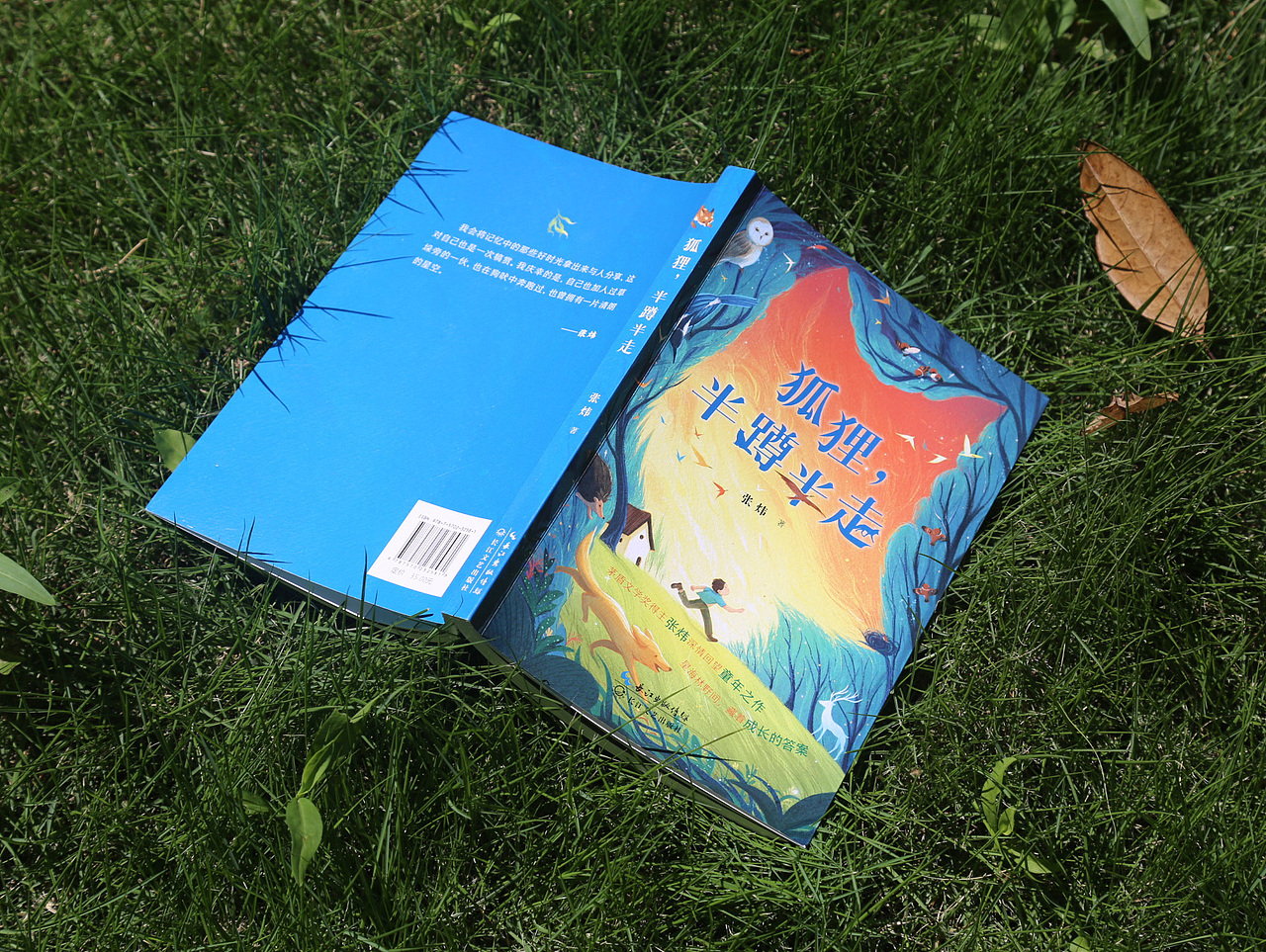 书籍设计|《狐狸,半蹲半走》