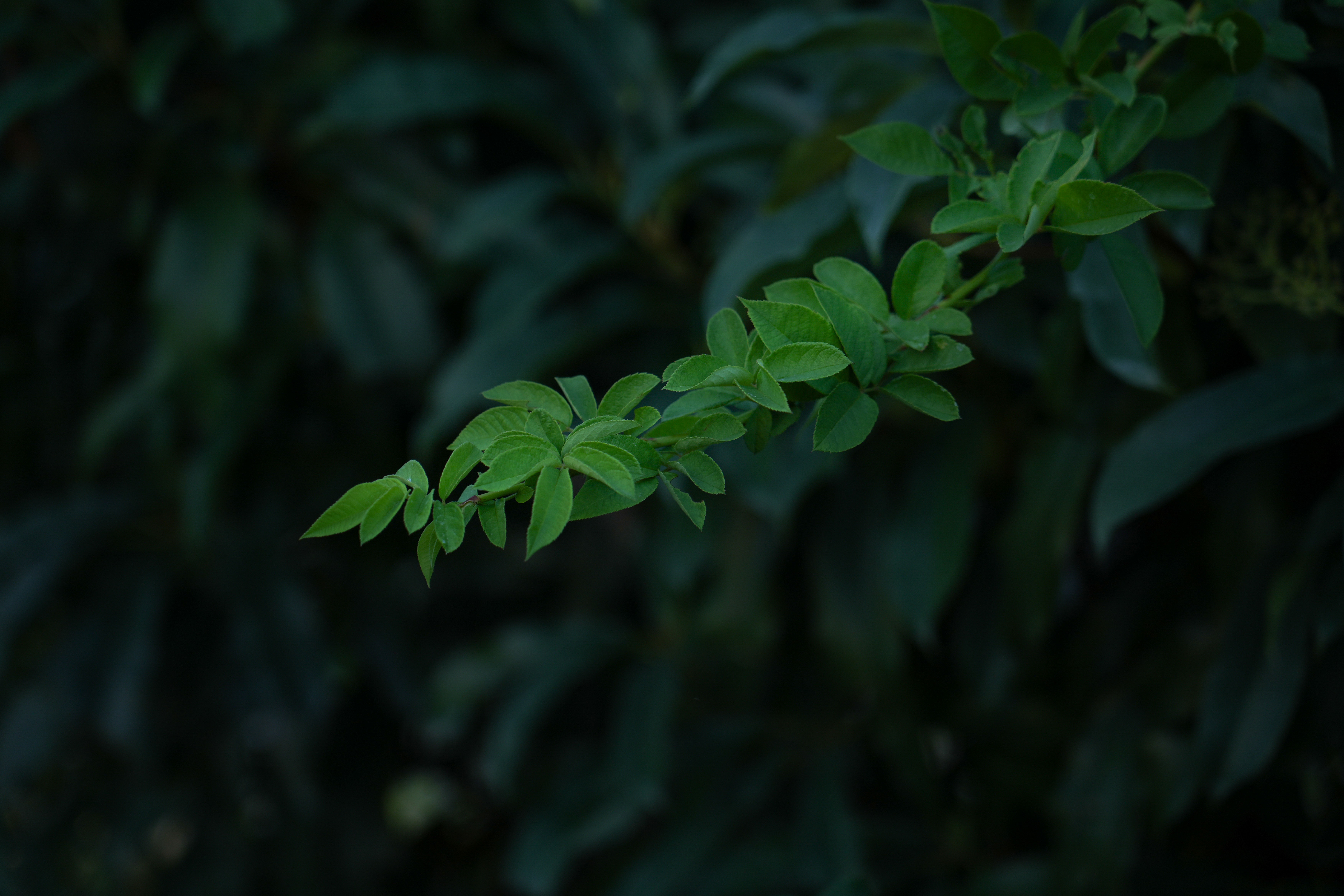 DY視覺的個(gè)人主頁（封面預(yù)覽） - 主頁封面設(shè)置 - 站酷設(shè)計(jì)師DY視覺原創(chuàng)素材 - 站酷ZCOOL