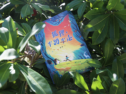 书籍设计|《狐狸,半蹲半走》