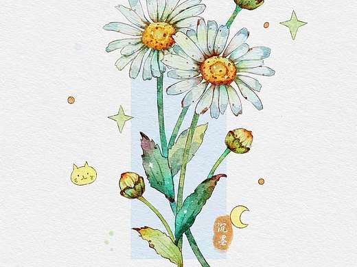 小雏菊