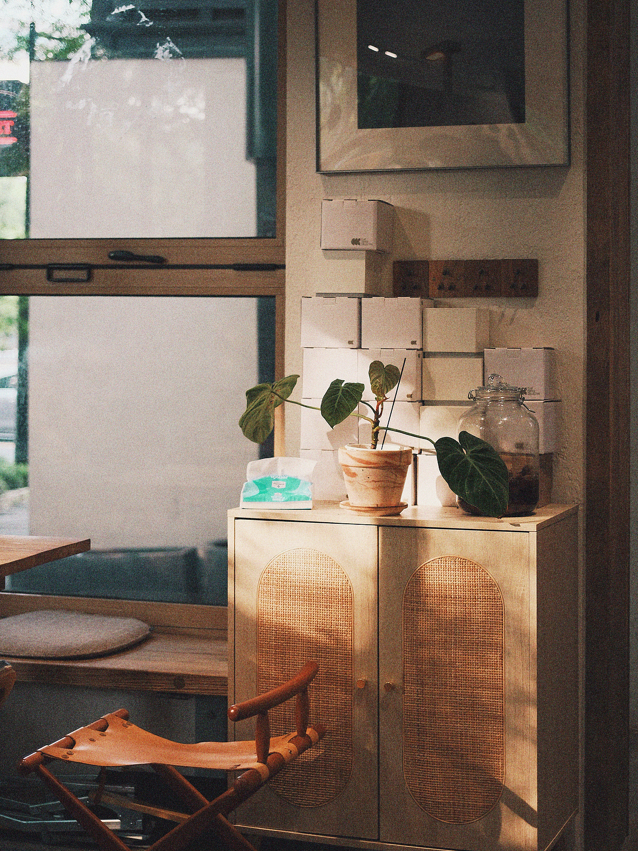 May you come to love my gentle green.