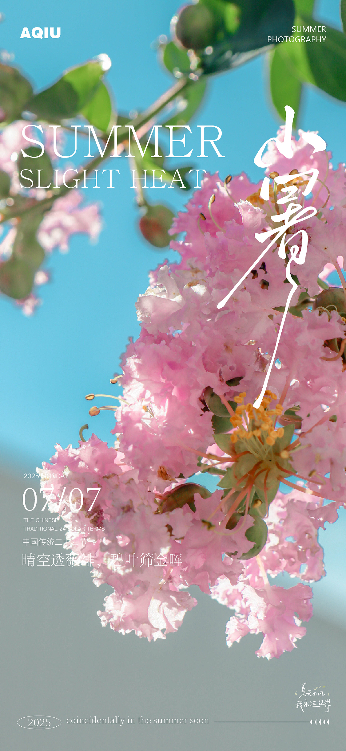 晴空透薇绯,碧叶筛金晖