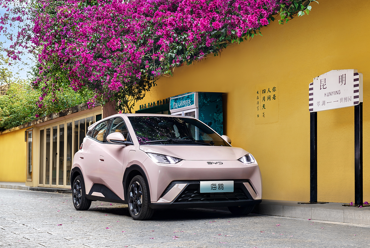 比亚迪海豚，比亚迪海鸥