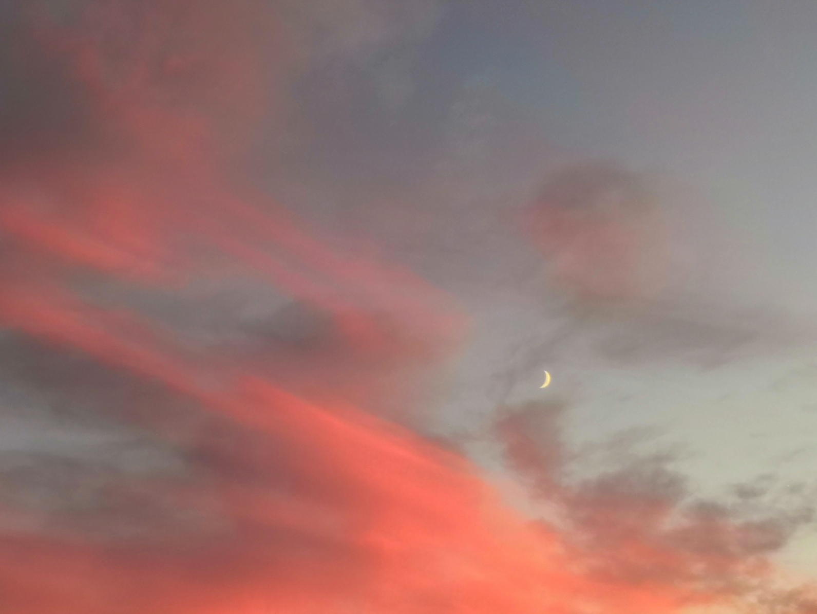 南极小6的个人主页（背景预览） - 主页背景设置 - 站酷设计师南极小6原创素材 - 站酷ZCOOL