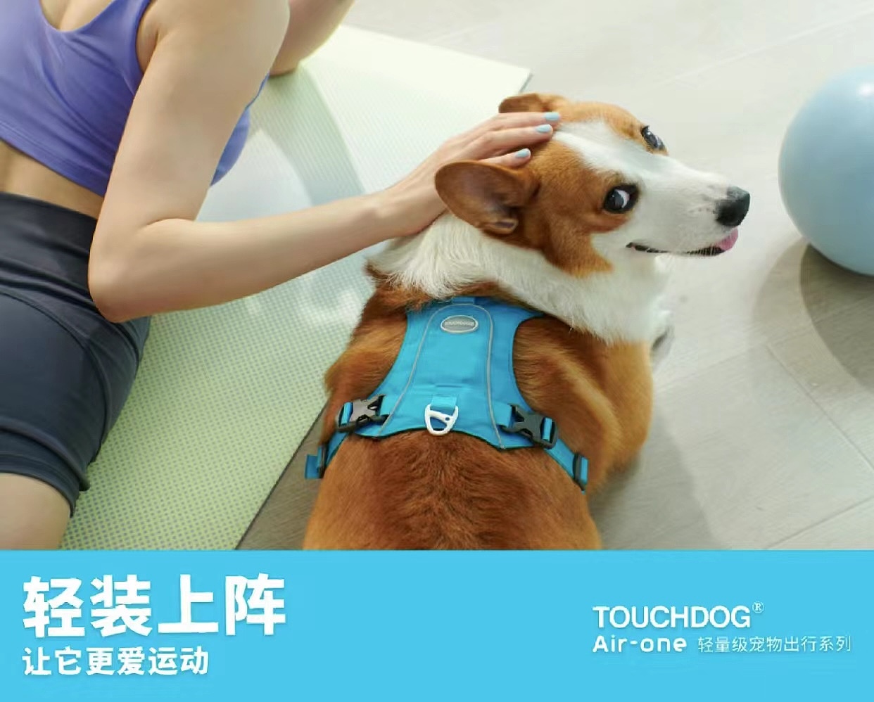 宠物用品平面拍摄——Touchdog它它轻量运动户外装备（图ZMzkzNjkxNTMy） - 产品摄影 - 站酷设计师太空狗视觉原创素材 - 站酷ZCOOL