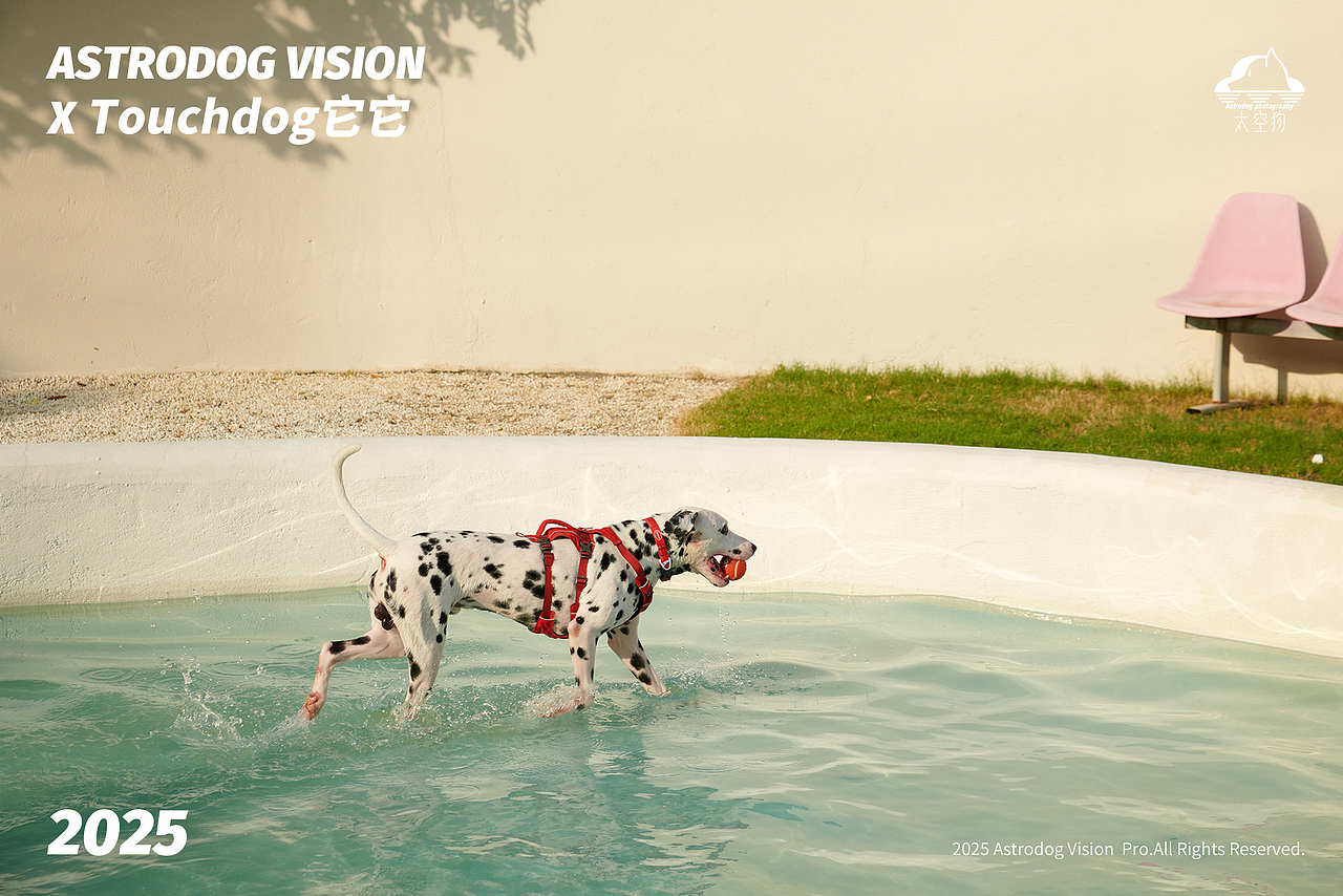 宠物用品平面拍摄——Touchdog它它轻量运动户外装备（图ZMzkzNjkyNTEy） - 产品摄影 - 站酷设计师太空狗视觉原创素材 - 站酷ZCOOL