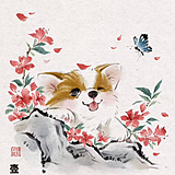 Z491204984的头像