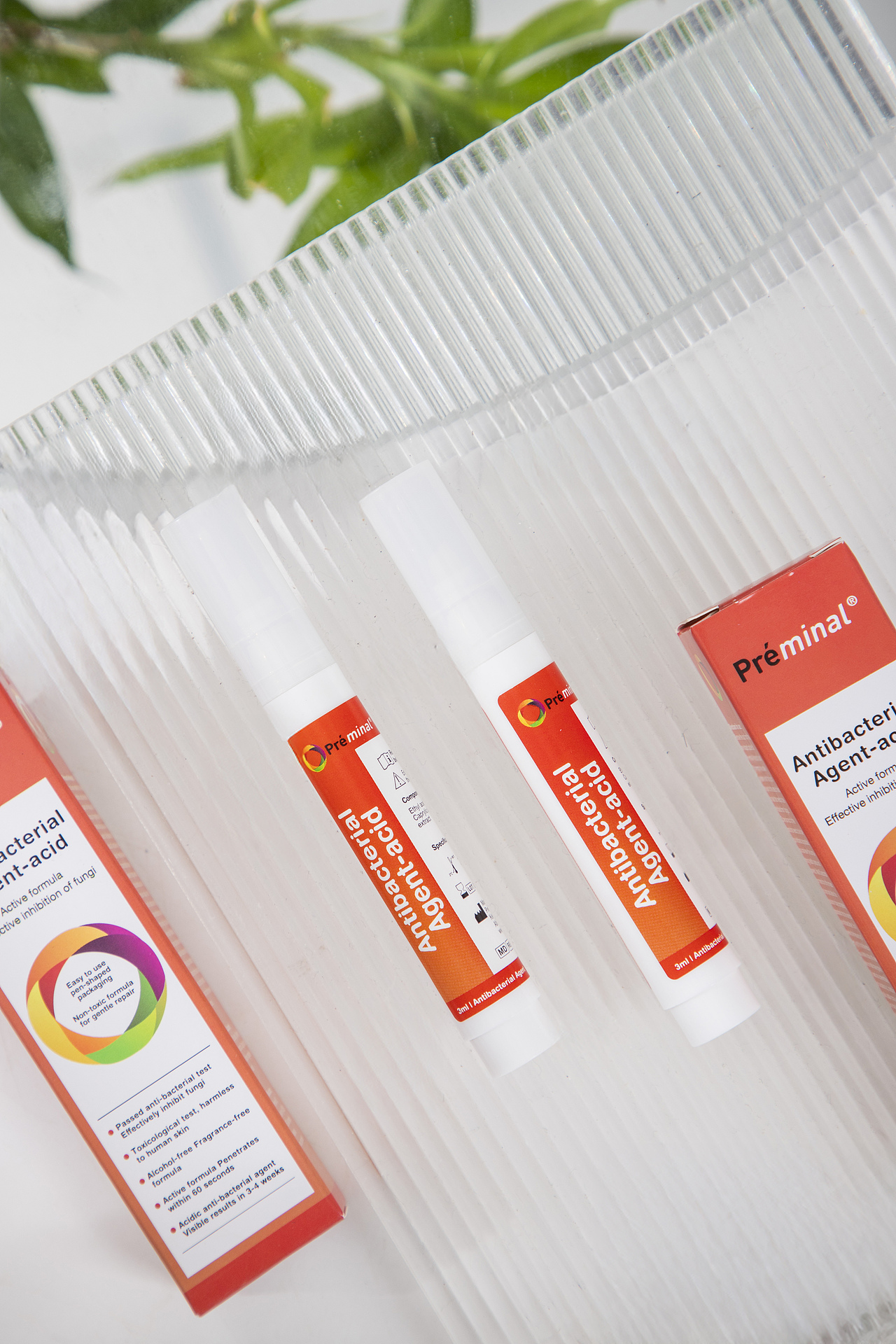 有间|荷兰原装进口preminal灰甲笔