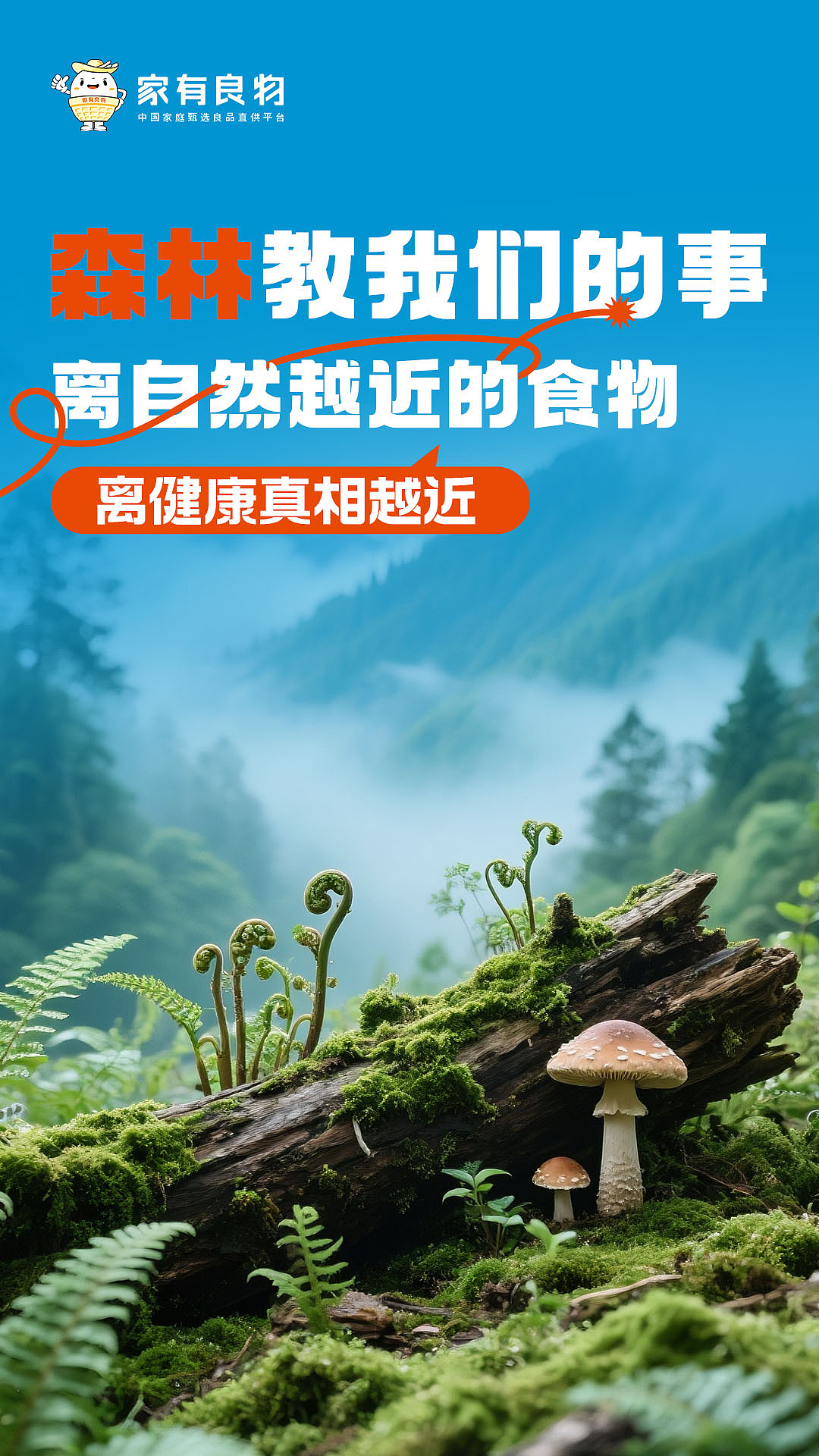 森林食材品宣系列海报