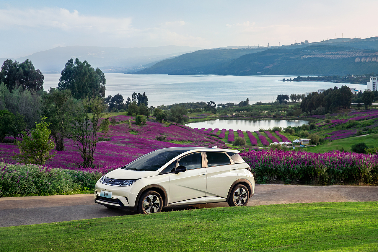 比亚迪海豚,比亚迪海鸥 | 昆明 | 汽车美图