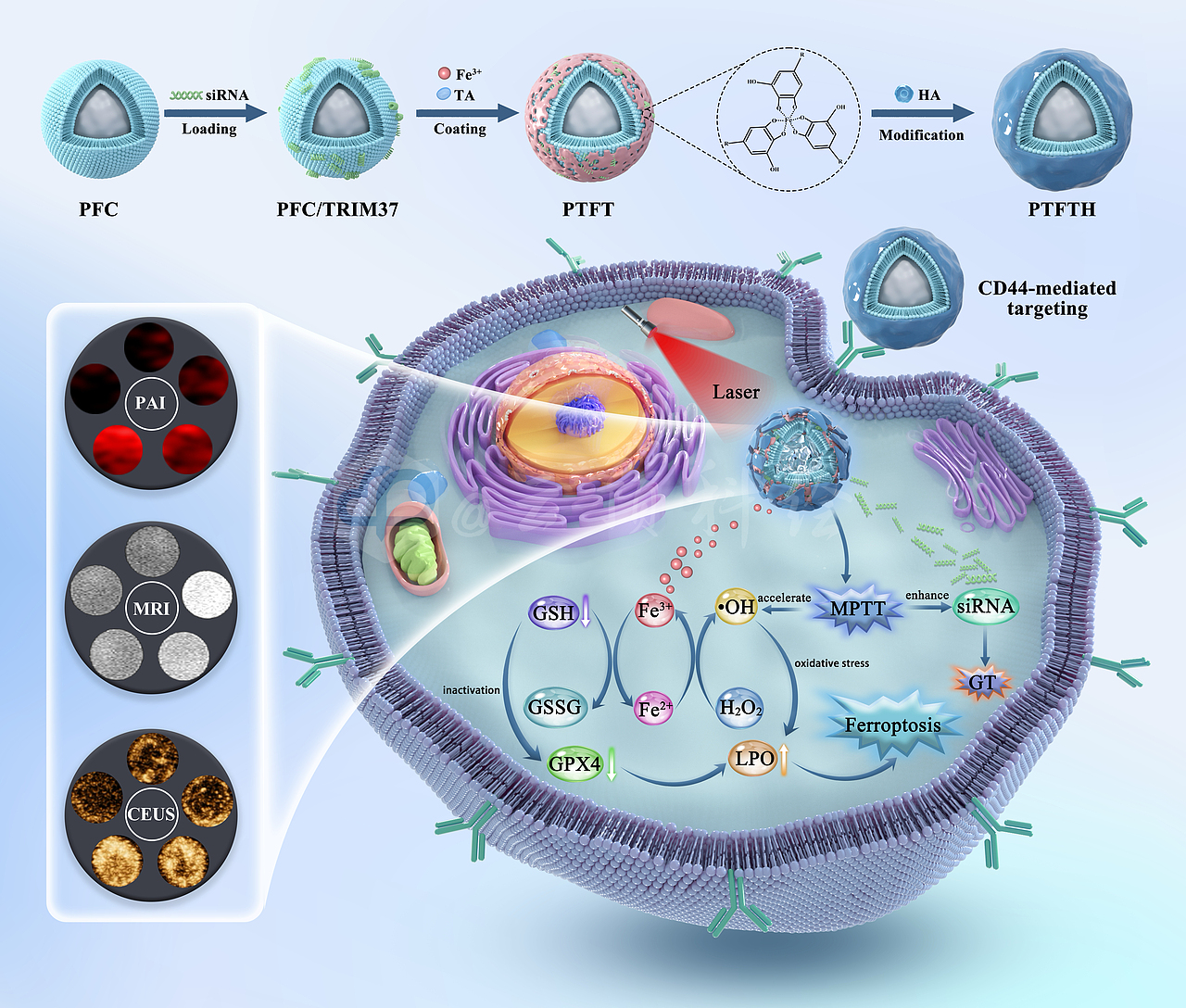 蓝紫调纳米诊疗图鉴：分层设计解码铁死亡机制
