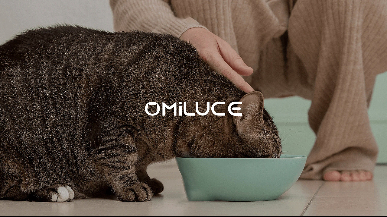 POWERFAR VIS品牌视觉全案设计