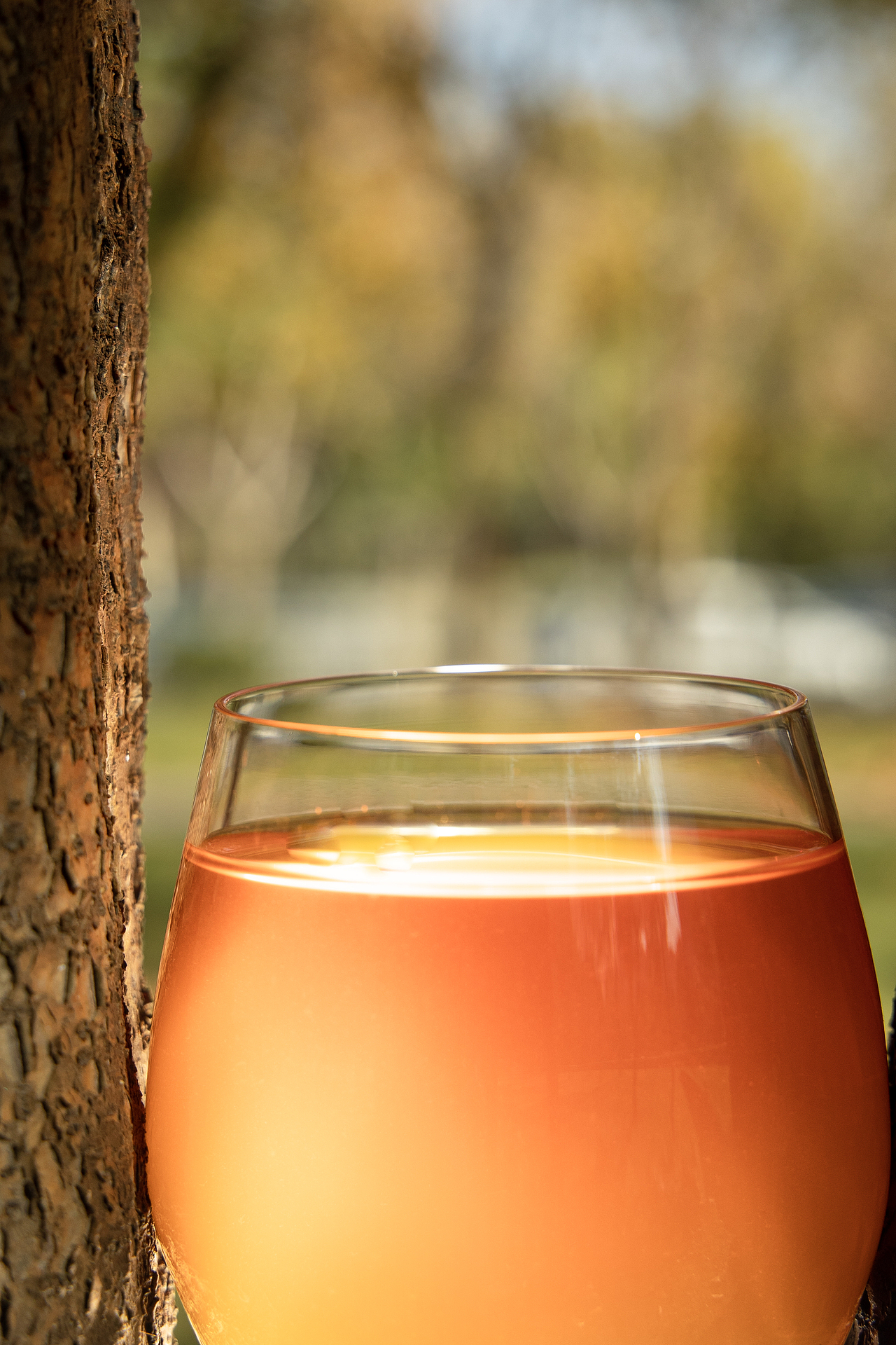 茶叶条形·茶汤静物拍摄（图ZMzkzNzYyMDg4） - 产品摄影 - 站酷设计师Weedee_原创素材 - 站酷ZCOOL