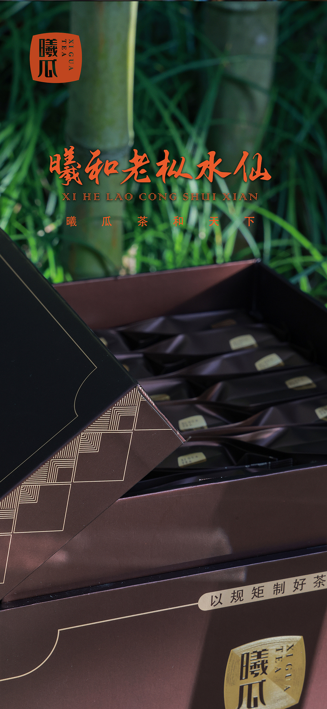 产品拍摄/海报 | 曦和老枞水仙