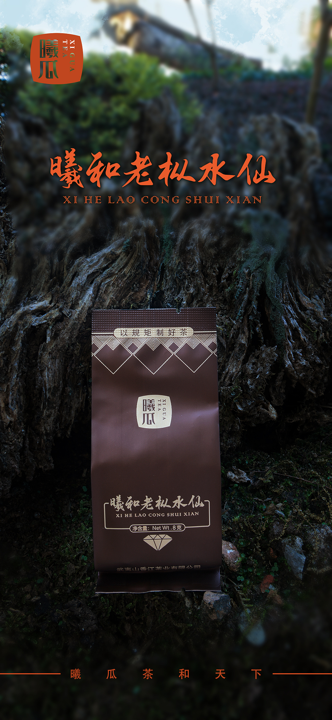 产品拍摄/海报 | 曦和老枞水仙