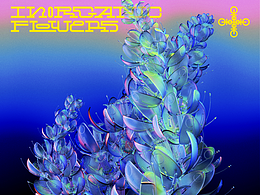 插画