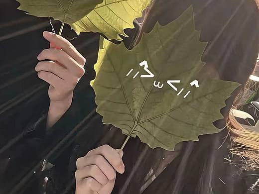 第一次画，额……整一下人物绘画吧