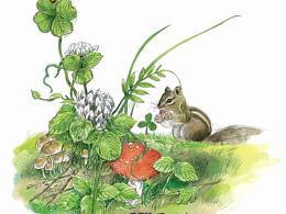 可愛的小花栗鼠…