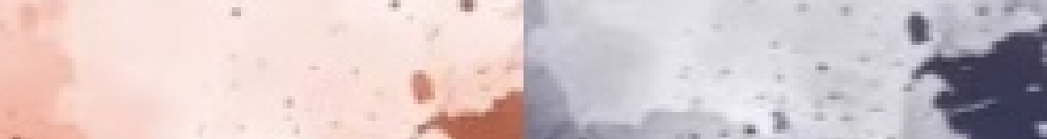 Lt婷的角落的个人主页（封面预览） - 主页封面设置 - 站酷设计师Lt婷的角落原创素材 - 站酷ZCOOL