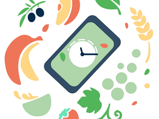 一套轻断食启动动效