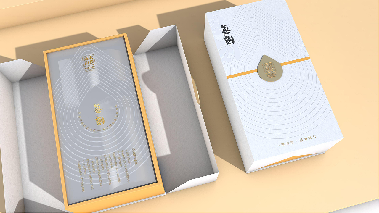 咸阳农投制氢机包装设计（二）