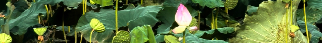 HLR聪的个人主页（封面预览） - 主页封面设置 - 站酷设计师HLR聪原创素材 - 站酷ZCOOL