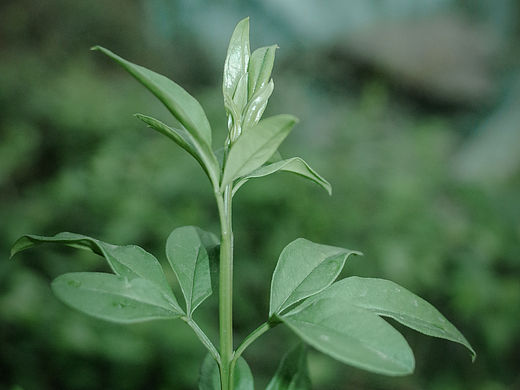 部分摄影作品（个人主页-ZNzIyNjY4MTI=） - 风光摄影 - 站酷设计师Z853623364原创素材 - 站酷ZCOOL