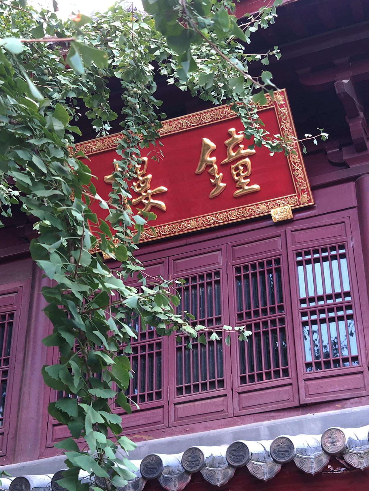 果然还要带点前景