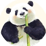 天府举人的头像