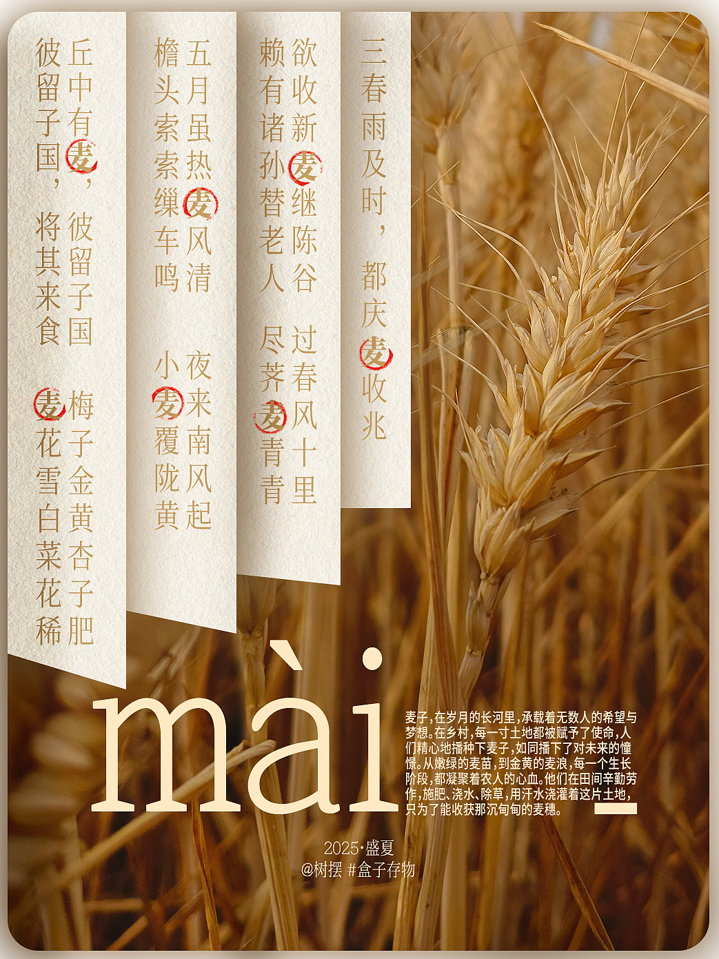 2025版式设计|6-7生活中的一些小碎片（图ZMzkzOTA0ODMy） - 海报 - 站酷设计师西安摄影树摆原创素材 - 站酷ZCOOL